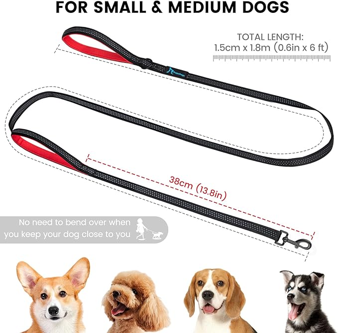 Dog Leash for Small to Medium Dogs 6 ft x 0.6" with 3 Reflective Stitching and 2 Traffic Padded Handles Dog Lead/Rope, Pet Leash for Running Walking Training (Purple 1 Pack)