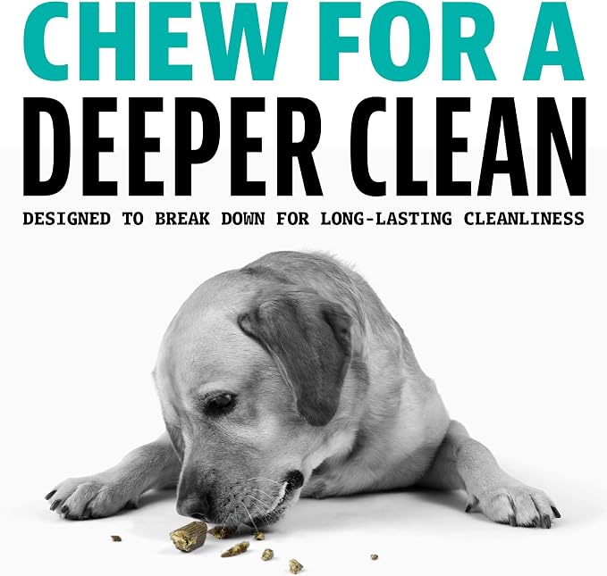 Dinovite Dental Chews for Dogs, Triple Action Dental Dog Treats for Large Breeds, Clinically Proven to Prevent Plaque & Tartar While Freshening Breath, Fresh Mint Flavor, Made in USA, 16 Count