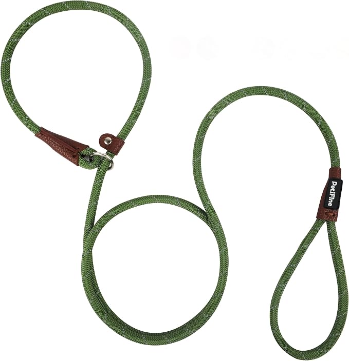 PetiFine Slip Lead Dog Leash,6FT x 3/8" Reflective Durable Dog Training Lead, Heavy Duty Adjustable Nylon Dog Rope Slip Leash for Small Medium Large Dogs (S, Green)