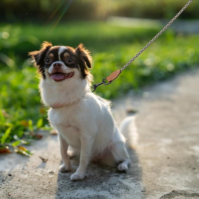 Mile High Life Small Dog Leash, Thin Rope Leash with Genuine Leather Connection and Heavy Duty Metal Clasp, Great for Small Medium Dogs(Black Khaki,72 Inch-1/3)