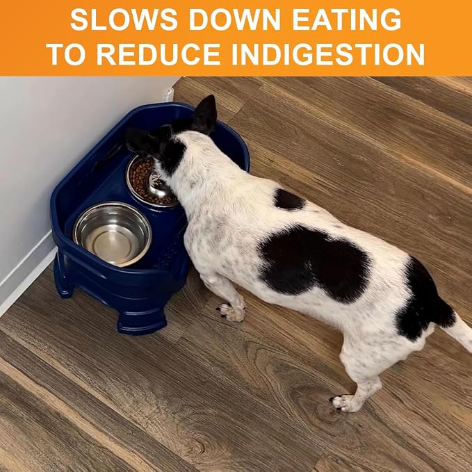Neater Pet Brands Stainless Steel Slow Feed Dog Bowl for Fast Eating Medium Breed, Metal Slow Feeder Dog Bowl Fits in Medium Neater Feeder Deluxe, for Puppy or Dogs (19-40 lbs), 1 Cup Food Capacity
