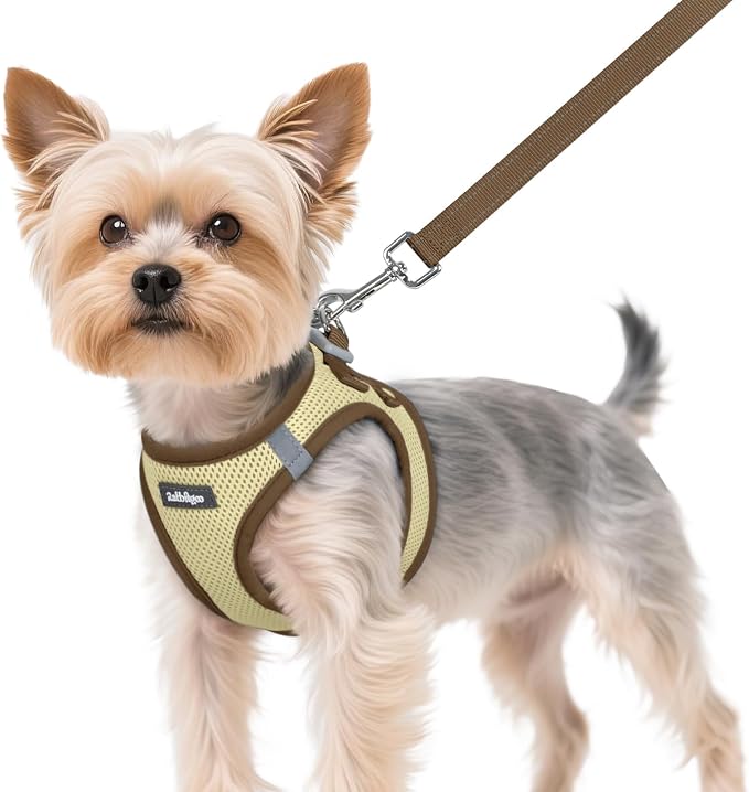 rabbitgoo Dog Harness Small Sized and Leash Set, Step-in Breathable Pet Harness, Soft Walking Reflective Puppy Vest for Small Dogs, Beige & Coffee, XS
