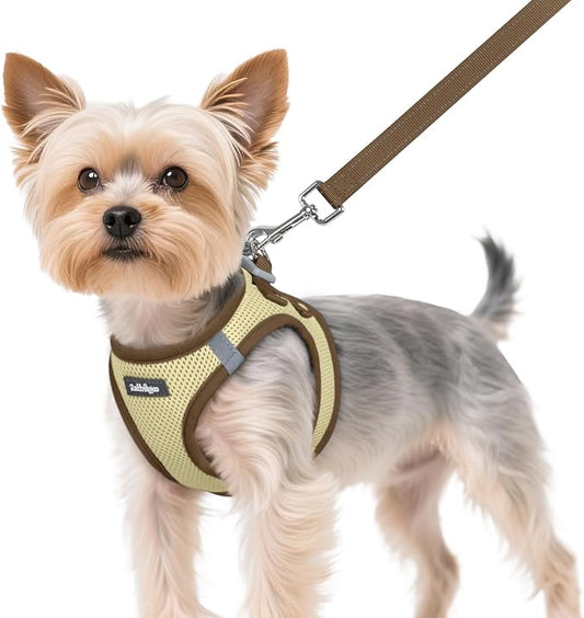 rabbitgoo Dog Harness Small Sized and Leash Set, Step-in Breathable Pet Harness, Soft Walking Reflective Puppy Vest for Small Dogs, Beige & Coffee, XS
