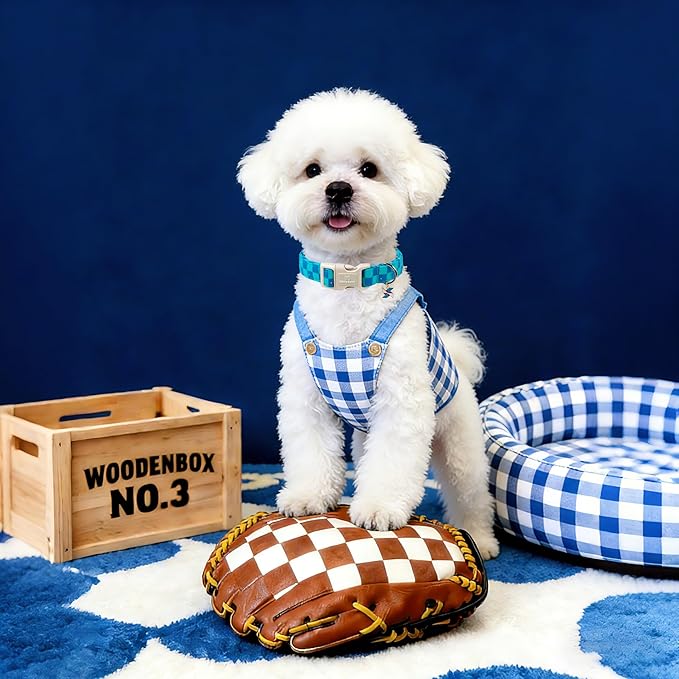Maca Bates Checkered Basic Dog Collar with Windmill Charm Turquoise and Royal Blue Checkerboard Pattern for Extra Small Girl Boy Dogs,Adjustable Durable Soft Plaid Collars Gift for Male Female Puppy