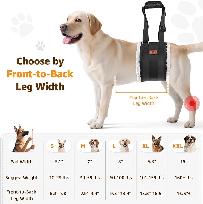 Adjustable Dog Lift Harness, Dog Sling for Large Dogs Hind Leg Support, Soft Lift Support Helps Senior, Injured, Disabled and After ACL Surgery Dogs-Black & Grey (Large)