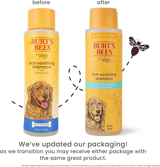 Burt's Bees for Pets Itch Soothing Dog Shampoo with Honeysuckle and Conditioning Honey pH Balanced No Sulfates No Parabens 95 Percent Natural Origin Cruelty Free Made in USA 16 FL OZ 6 Pack