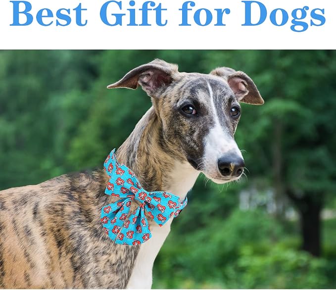 Unique style paws Valentine's Day Dog Collar with Tie Blue Heart Puppy Collar Best Gift for Small Medium Large Boys Girls-L
