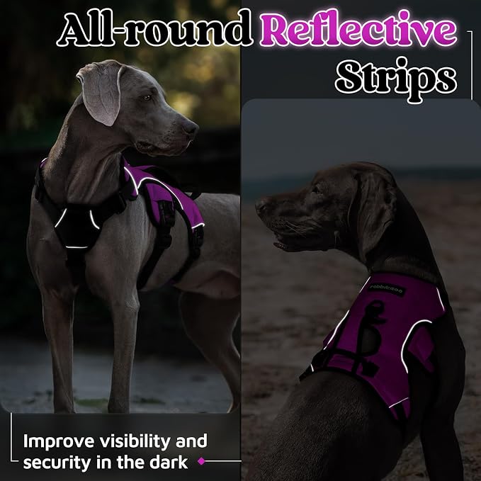 rabbitgoo Escape Proof Dog Harness, Soft Padded Full Body Pet Harness, Reflective Adjustable No Pull Vest with Lift Handle and Leash Clip for Large Dogs Walking Hiking Training, XL, Purple