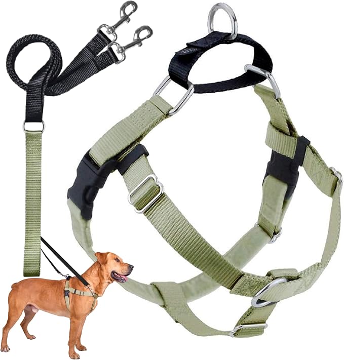 2 Hounds Design Freedom No Pull Dog Harness, Adjustable Harness and Leash Set, Easy Walking & Comfortable Control, Fits Small, Medium & Large Dogs, Solid Colors, Made in USA, 1" MD, Tan