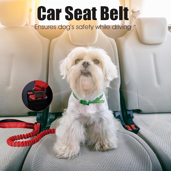 BUMBIN 6Ft Dog Leash Large Dogs, Bungee Dog Leash with 2 Handles, Heavy Duty Dog Leashes for Medium Small Dogs, No Pull Shock Absorbing Dog Leash with Car Seat Belt for Training, Red