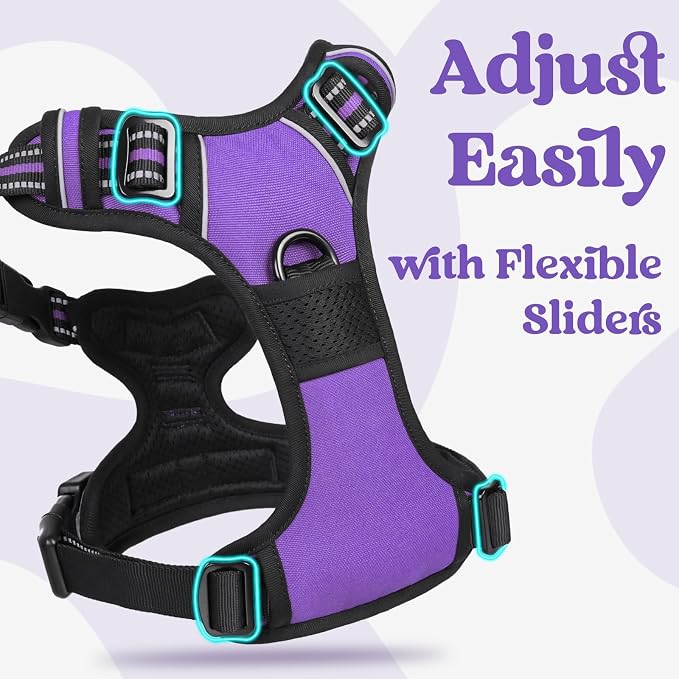 rabbitgoo Dog Harness Medium Sized, No Pull Easy On & Off with 3 Buckles Pet Harness, Adjustable Soft Walking Vest with 2 Clips and Handle, Reflective for Medium Dogs, Purple, M
