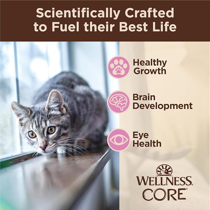 Wellness CORE Tiny Tasters Minced Kitten Wet Cat Food,Natural,Protein-Rich,Grain Free,1.75-Ounce Pouch,(Chicken),(Pack of 24)