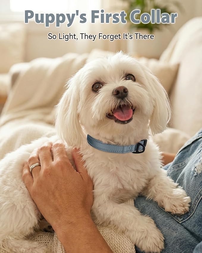 Joytale Dog Collars for Small Dogs, Feather-Light Double-Sided Reflective Nylon Collar for Night Safety, Adjustable Quick-Release for Growing Puppies, Gray, S (5/8" Width)