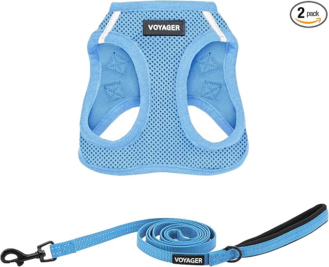 Best Pet Supplies Voyager Step-in Air All Weather Mesh Harness and Reflective Dog 5ft Leash Combo with Neoprene Handle, for Small, Medium and Large Breed Puppies - Baby Blue, Small