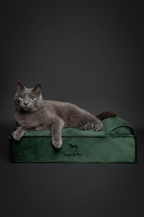 NOAH & PAW Small Dog Bed, 20x15x6.5 Inch, Cat Bed for Indoor Cats, Orthopedic Eggshell Memory Foam Infused with Cooling Gel, Water Resistant, Machine Washable, Includes Inner Cover (Velvet Collection)