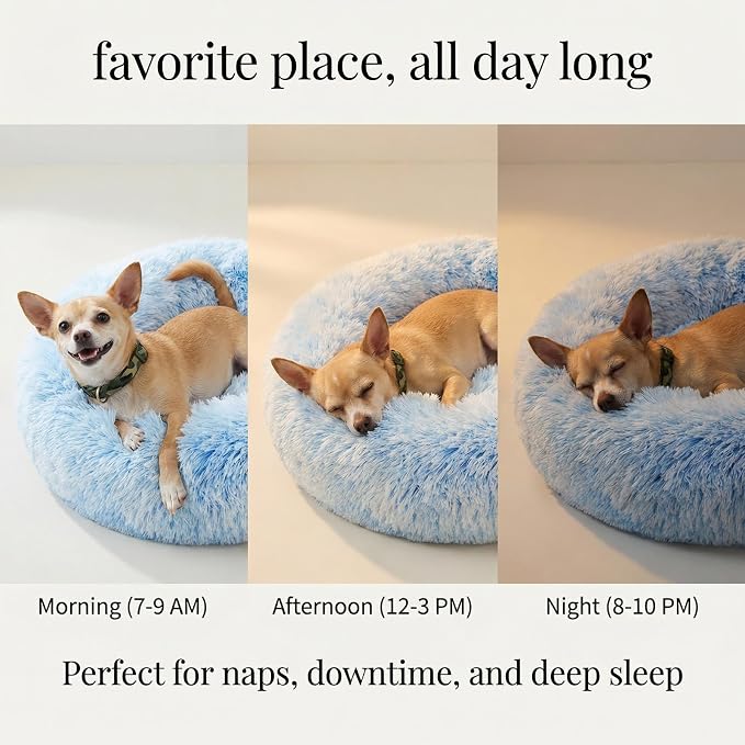 Calming Donut Dogs Beds for Small Dogs Washable,19inch Fluffy Round Puppy Bed for Puppies,Cats & Toy Breeds with Raised Rim,Fits up to 15 lbs Pets,Gradient Blue
