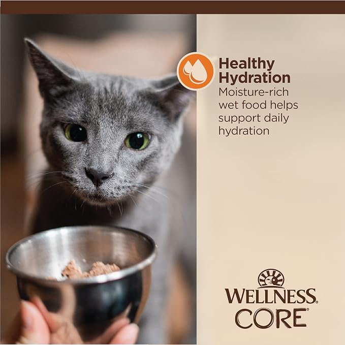 Wellness CORE Tiny Tasters Minced Adult Wet Cat Food,Natural,Protein-Rich,Grain Free,1.75-Ounce Pouch,(Chicken),(Pack of 24)