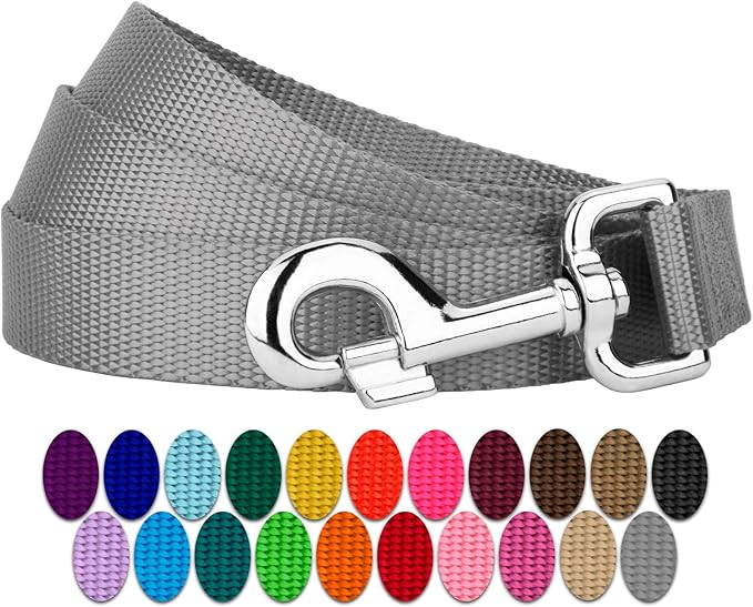 Country Brook Petz - Everyday Nylon Dog Leash - Strong, Durable, Solid Color Leash with Easy to Use Snap - 25+ Colors (1 Inch Wide, 4 Foot, Silver)