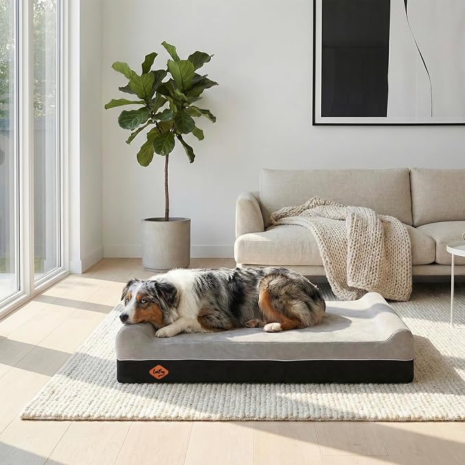 Laifug Orthopedic Dog Beds for Large Dogs,7" Memory Foam Dog Beds,Durable Water Proof Liner Removable and Washable, Nonskid Bottom, Slate Grey 50"x36"x7"