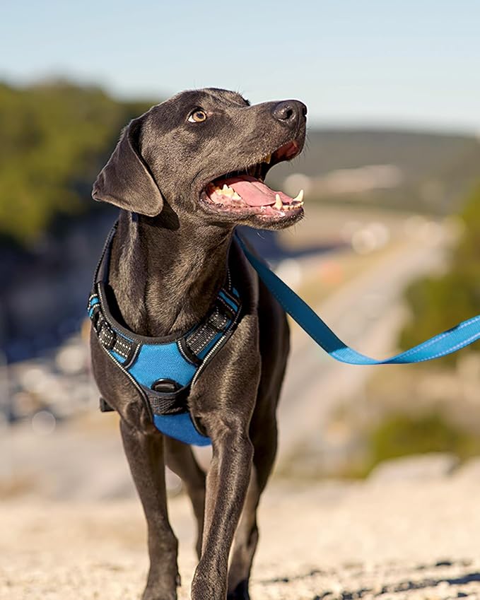 Joytale No Pull Dog Harness Medium Sized Dog, Reflective Pet Vest with Front Clip, Adjustable Soft Padded Harnesses with Easy Control Handle for Training and Walking, Sky Blue, M