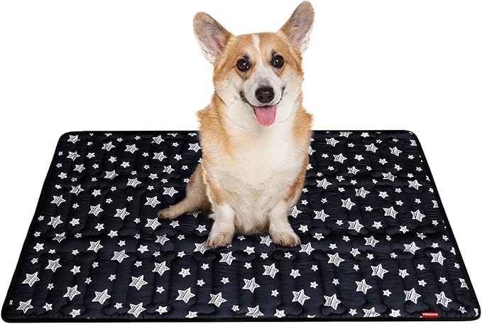 PetSafe 36" x 23" Soft Dog Bed Mat, Cute Prints, Personalized, Anti-Slip, Machine Washable Kennel Pad
