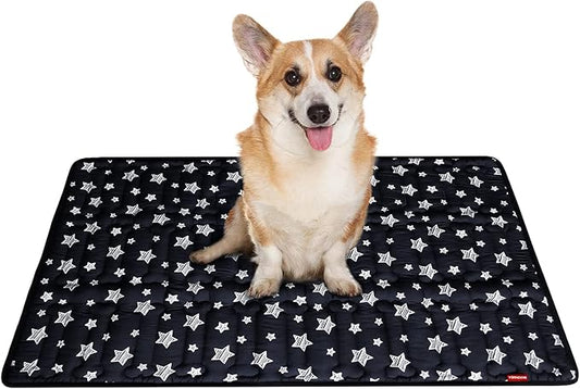 PetSafe 36" x 23" Soft Dog Bed Mat, Cute Prints, Personalized, Anti-Slip, Machine Washable Kennel Pad