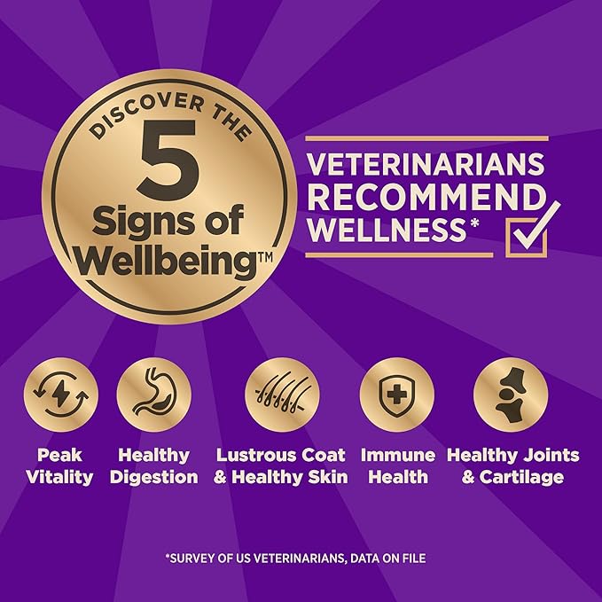 Wellness CORE Healthy Weight Adult Dry Dog Food, Grain Free Kibble, Natural, High Protein, Turkey and Chicken Recipe, 26 lb Bag