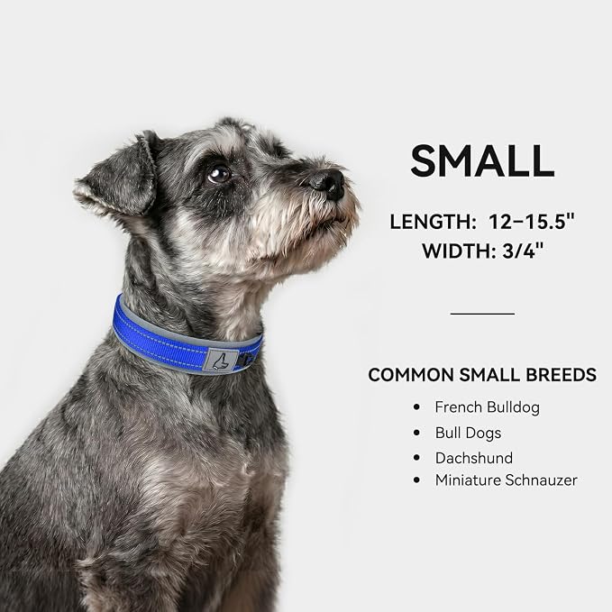 Joytale Dog Collar for Small Dogs, Neoprene Padded and Adjustable, Reflective Wide Heavy Duty Pet Collars with Durable Metal Belt Buckle for Walking, Navy Blue, S