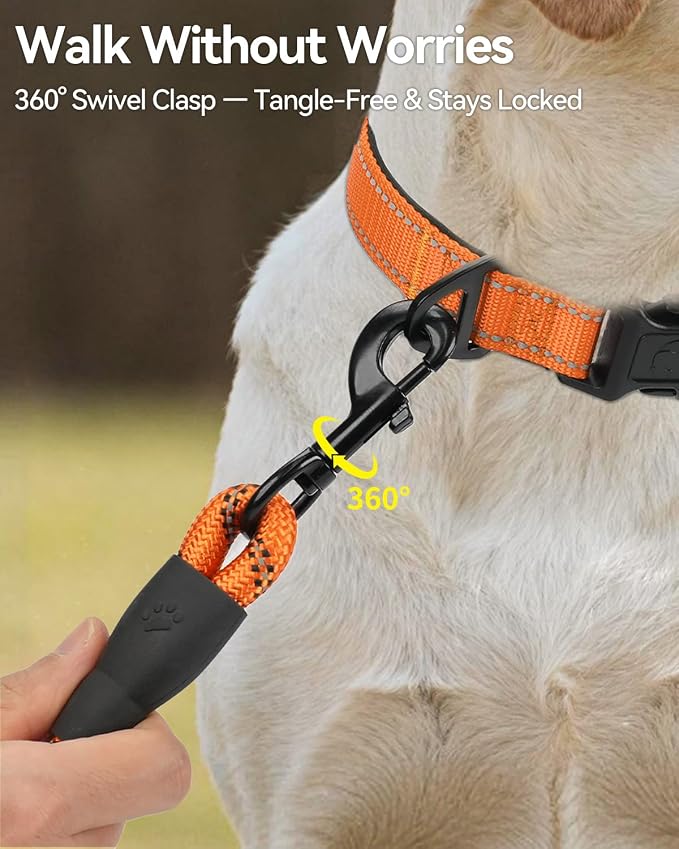 Joytale Dog Leash for Large Dogs, Heavy Duty Nylon Leashes with Comfortable Padded Handle and Highly Reflective Threads, Ideal for Walking and Training, Orange, 5'×1/2''