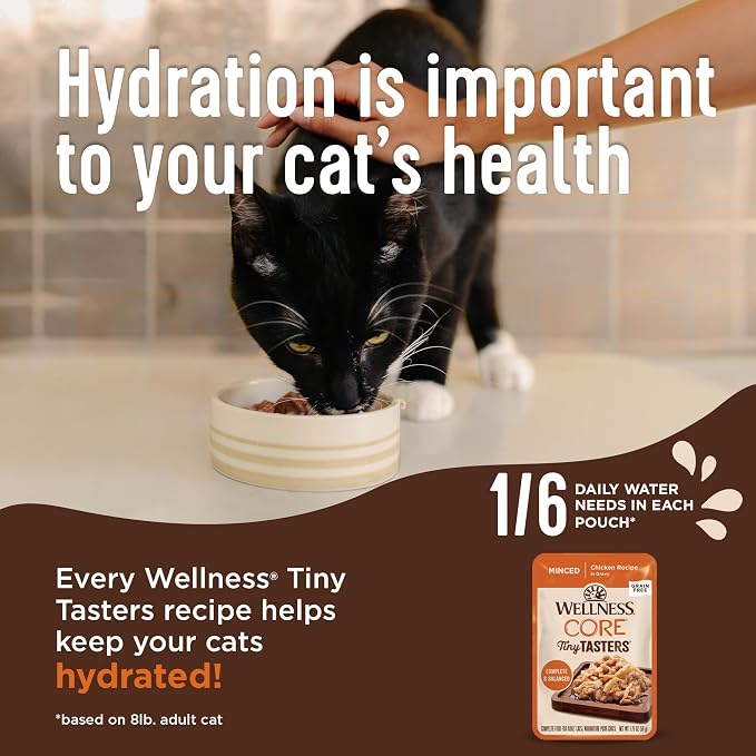 Wellness CORE Tiny Tasters Minced and Pate Variety Pack Kitten Wet Cat Food, Natural, Protein Rich, Grain Free, Chicken Recipes, 1.75 oz, Pack of 12 Pouches