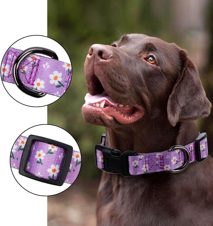 Daisy Girl Dog Collars, Floarl Design for Small Dogs, Purple