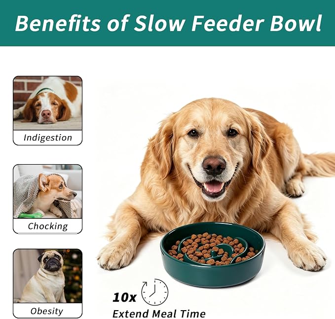 Slow Feeder Dog Bowls,Ceramic Slow Feeding Bowl for Small and Medium Breed,Anti Choking Puzzle Dog Food Bowl with Non-Slip Base for Fast Eater(Green, S-0.6CUP)
