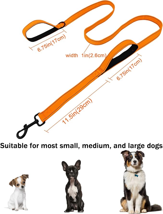 Solmoony 6FT Orange Strong Dog Leash with 2 Padded Handles, Traffic Handle Extra Control, Double-Sided Reflective Walking Lead for Small Medium and Large Dog (Orange, 6FT)