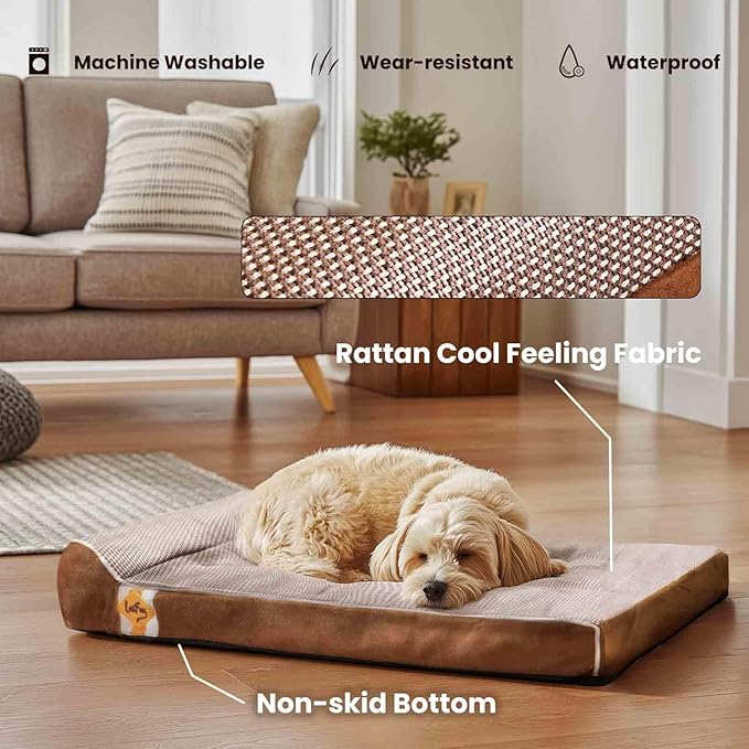 Laifug Orthopedic Dog Beds for Large Dogs,3" Memory Foam Dog Beds,Durable Water Proof Liner Removable and Washable, Nonskid Bottom, Brown 34"x22"x3"