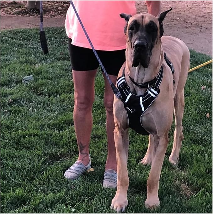 MayPaw Heavy Duty Rope Dog Leash, 3/4/5/6/7/8/10/12/15 FT Nylon Pet Leash, Soft Padded Handle Thick Lead Leashes for Large Medium Dogs (Purple Black, 1/2" * 8')