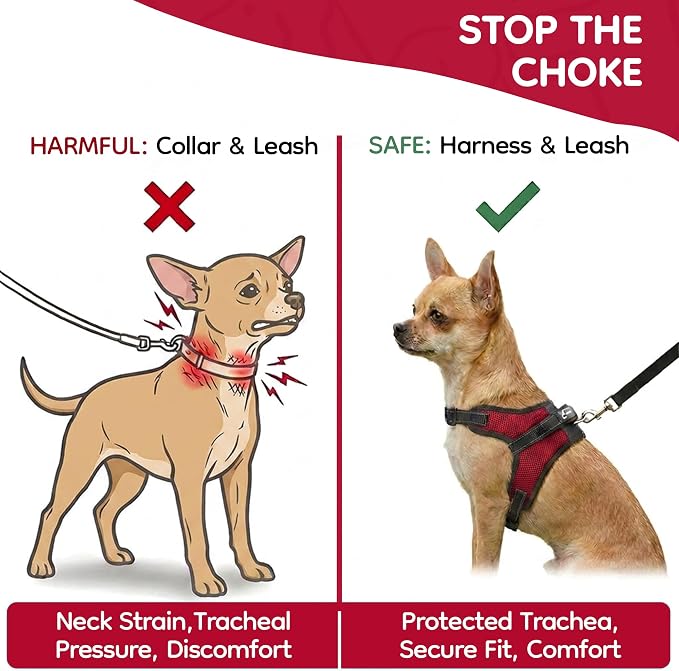 No Pull Reflective Adjustable Dog Harness with Handle- Comfortable Soft All Weather Mesh, Easy On Puppy Harness for Small Medium and Large Dogs (Red) XX-Small