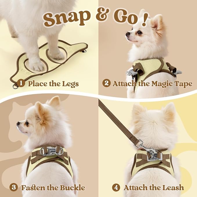 rabbitgoo Dog Harness Small Sized and Leash Set, Step-in Breathable Pet Harness, Soft Walking Reflective Puppy Vest for Small Dogs, Beige & Coffee, XXS
