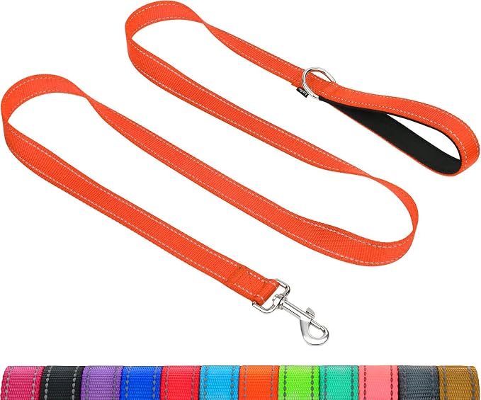 Taglory Dog Leash for Medium Large Dogs, Double-Sided Reflective for Night Walking, Neoprene Padded Handle, 1 inch by 6 ft, Heavy Duty for Medium Large Breeds 20-150 lbs, Orange