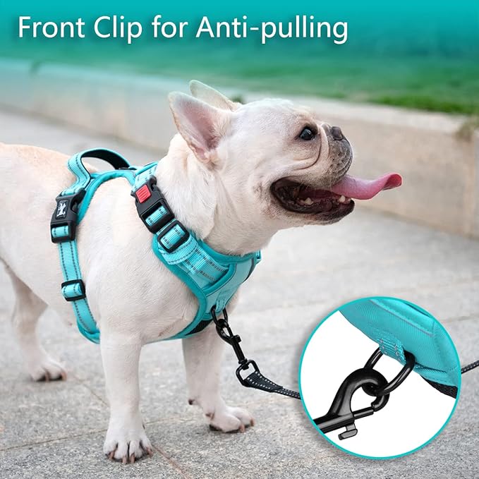 PoyPet No Pull Dog Harness, No Choke Reflective Dog Vest, Adjustable Pet Harnesses with Easy Control Padded Handle for Small Medium Large Dogs(Mint Blue Matching Trim,XS)