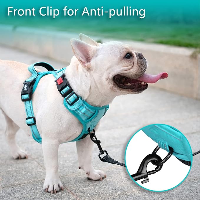 PoyPet No Pull Dog Harness, No Choke Reflective Dog Vest, Adjustable Pet Harnesses with Easy Control Padded Handle for Small Medium Large Dogs(Mint Blue Matching Trim,XL)