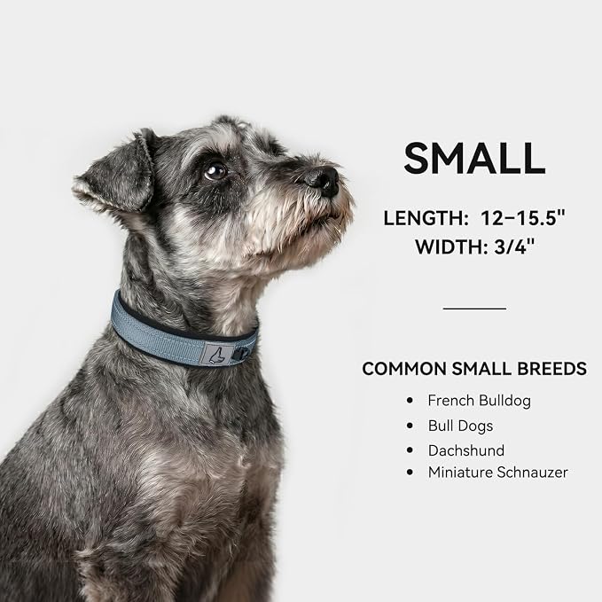 Joytale Dog Collar for Small Dogs, Neoprene Padded and Adjustable, Reflective Wide Heavy Duty Pet Collars with Durable Metal Belt Buckle for Walking, Gray, S
