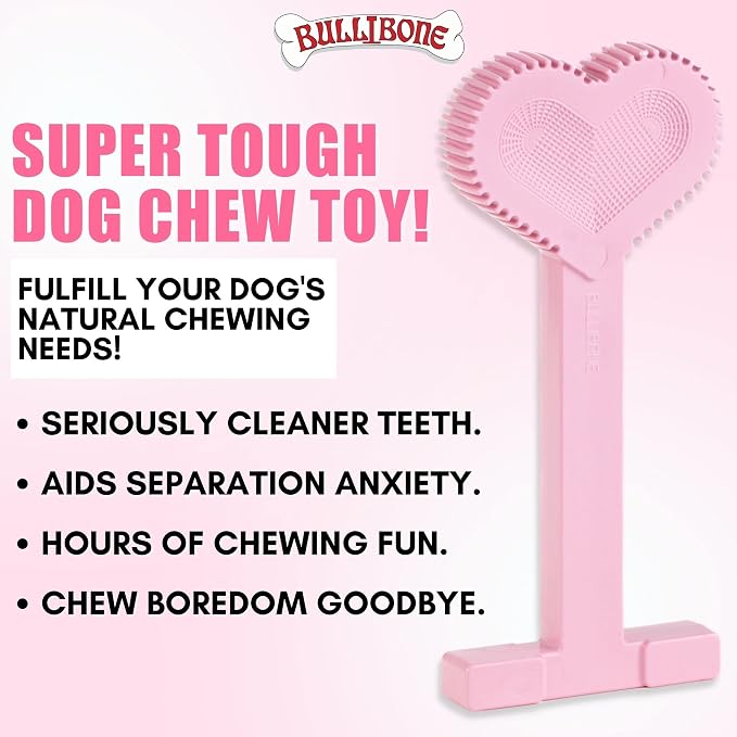 Bullibone Nylon Dog Chew Toy for Aggressive Chewers - Dental Hygiene Bone with Peppermint Flavor, Durable Tough Chew Toys for Large Dogs, Indestructible Dog Bone - 3 Pack