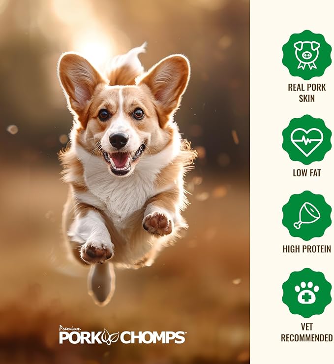 Pork Chomps Roasted Pork Skin Dog Chews, 3 Inch Donuts, Real Chicken, 2 Count, Pack of 2 - Long-Lasting Treats for Dogs - High Protein, Rawhide-Free, Low Fat, Healthy & Delicious Chews