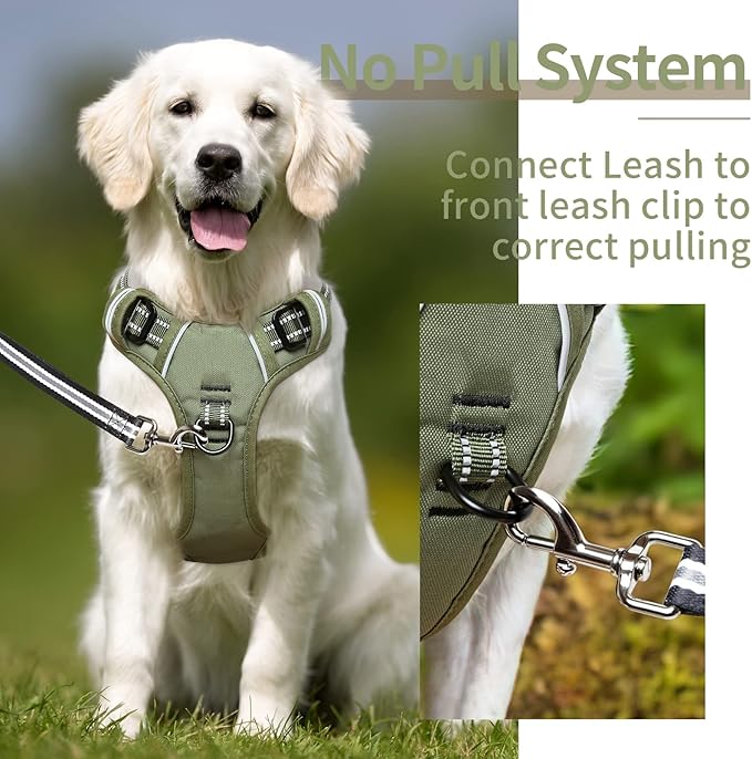 HEELE Dog Harness, No Pull Adjustable Padded Reflective Harness for Small Medium Large Dogs with Handle for Walking Training, Green, M
