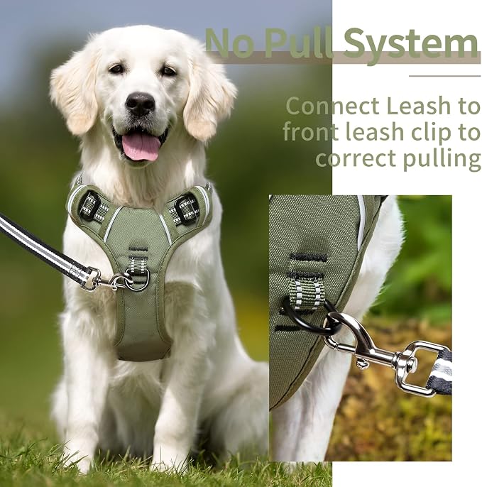 HEELE Dog Harness, Dog Harness for Small Medium Large Dogs No Pull Adjustable Padded Reflective Harness with Handle for Walking Training, Green, L