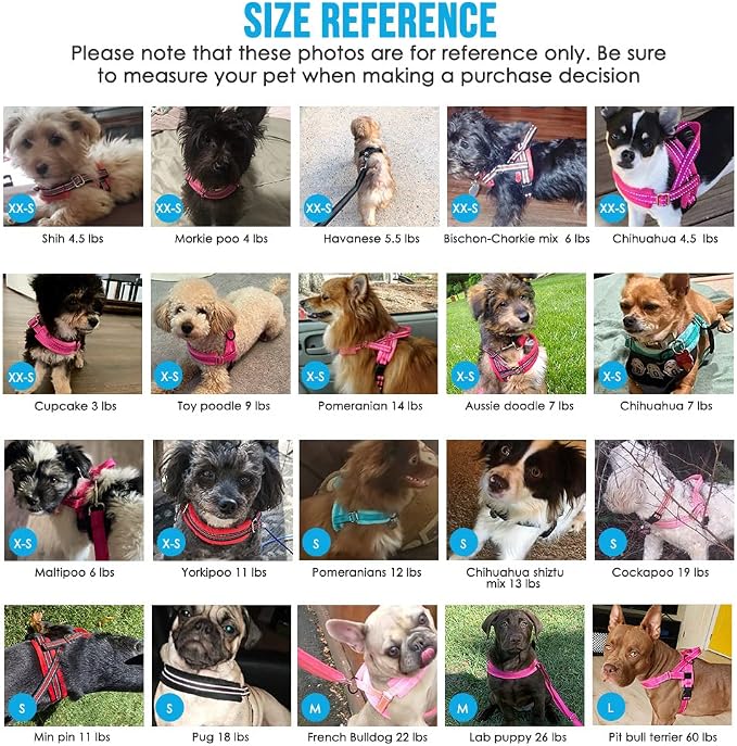 Lukovee No Pull Dog Harness and Leash Set, Soft Padded Small Dog Harness, Neck & Chest Adjustable Reflective Vest Puppy Harness with 4ft Lightweight Anti-Twist Dog Leash for Small Dogs (Blue, M)