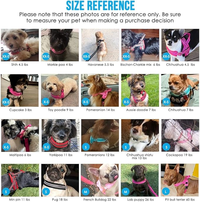 Lukovee No Pull Dog Harness and Leash Set, Soft Padded Small Dog Harness, Neck & Chest Adjustable Reflective Vest Puppy Harness with 4ft Lightweight Anti-Twist Dog Leash for Small Dogs (XXS, Pink)
