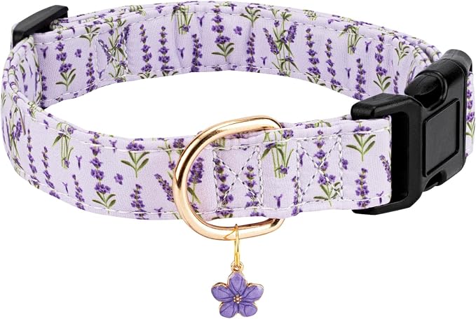 Personalized Dog Collars,Adjustable Puppy Collars with Safety Buckle for Small Medium Large Dogs,Cute and Unique Pink Cherry Pattern Pet Collar for Boy Girl Dogs. (Purple Lavender, Medium)