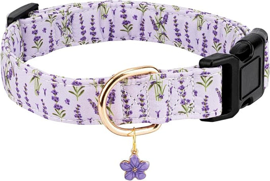 Personalized Dog Collars,Adjustable Puppy Collars with Safety Buckle for Small Medium Large Dogs,Cute and Unique Pink Cherry Pattern Pet Collar for Boy Girl Dogs. (Purple Lavender, L)