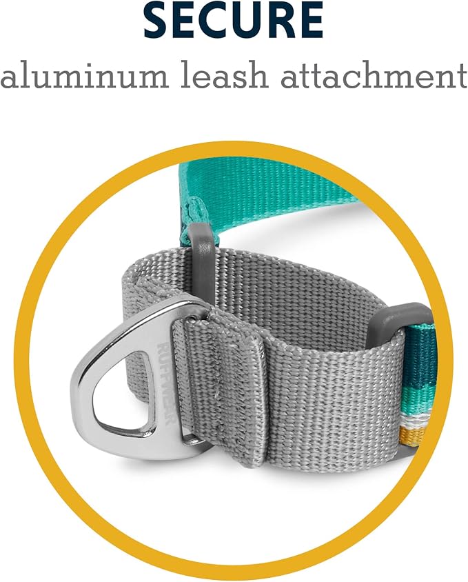 Ruffwear, Web Reaction Dog Collar, Escape-Proof Security Buckle, Adjustable Anti-Slip Martingale Collar with Durable Nylon Tubelok Webbing & Silent ID Attachment, Seafoam, 23"-26"